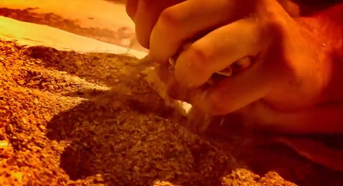 bandicam 2014-06-17 14-01-26-904