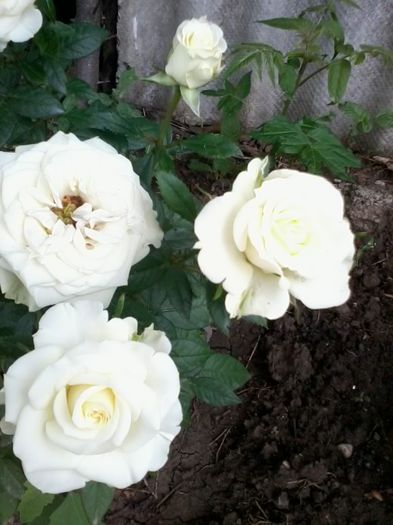 20140617_151208