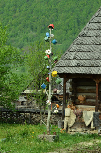 37.Copacul cu oale-Maramures; in curtea casei,des vezi un copac cu oale;cu cit e mai mare si oalele-s mai multe,.familia e mai instarita.daca in virf e o oala rosie,in casa este o fata de maritat
