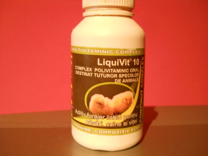 Vitamine - 4--Medicamente Iepuri