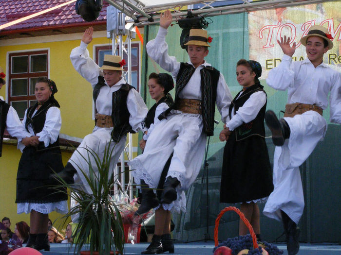 40.Toamna Chioreana-Remetea Chioarului; Ansamblul Cetatea Chioarului din Remetea Chioarului.in Luna septembrie,festivalul debuteaza cu o expozitie cu vinzare a produselor,agricole,apicole si florale,traditionale
