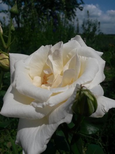 20140612_120645