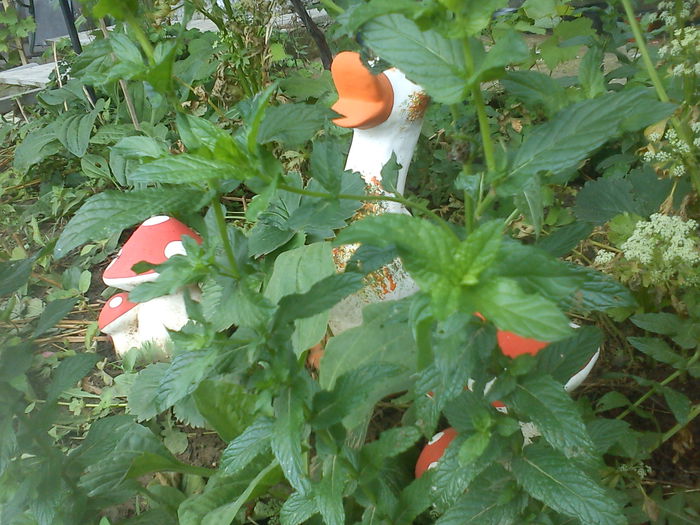 DSC09883