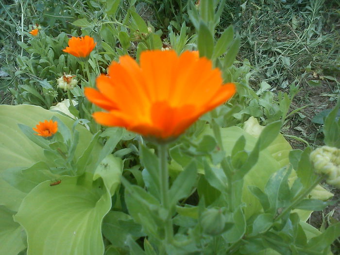 DSC09888