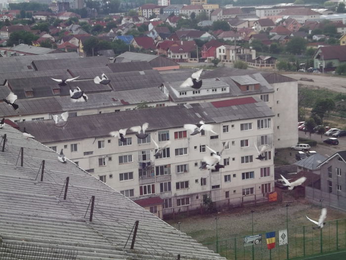 ANTRENAMENTUL DUPA MASA