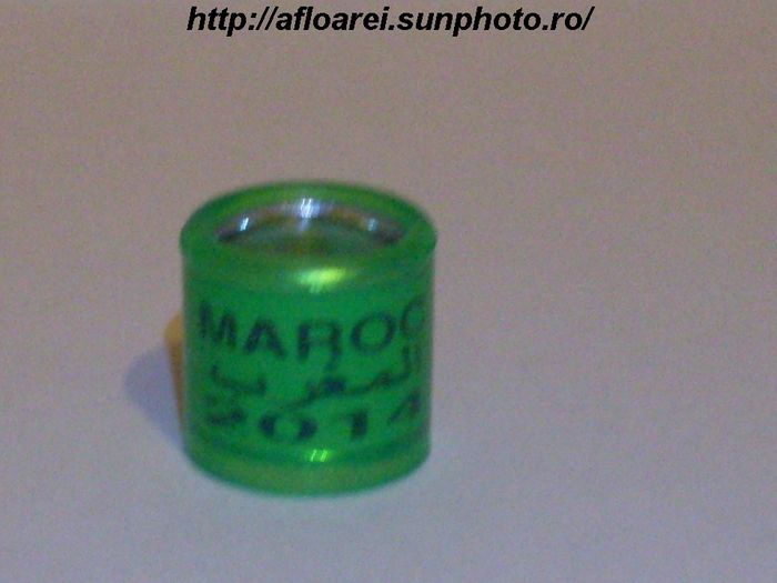 maroc 2014 verde - MAROC
