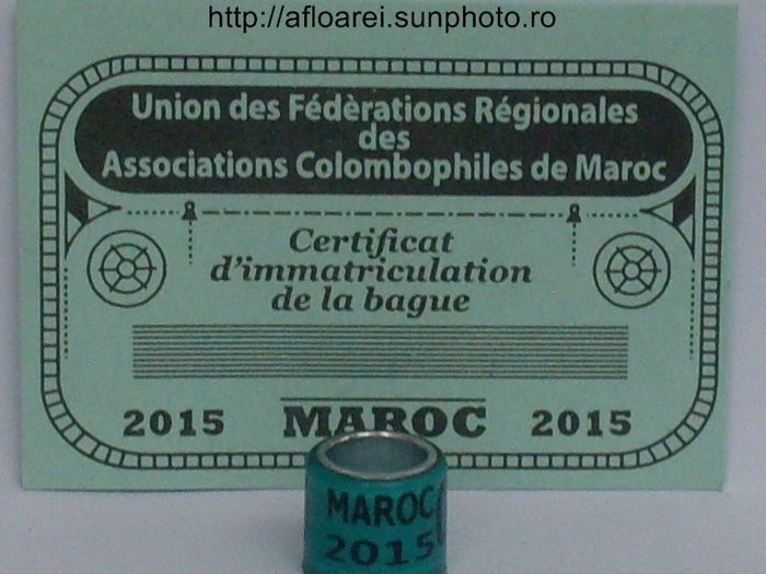 maroc 2015 verde - MAROC