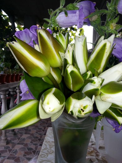 20140613_192754 - Diverse flori