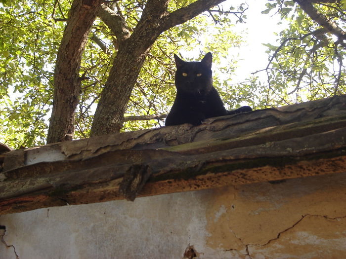 E chiar bine la ţară; aug2011
