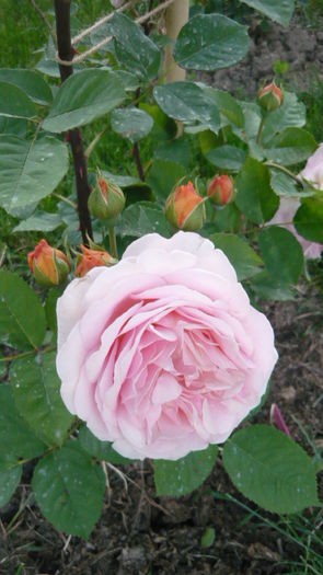 046