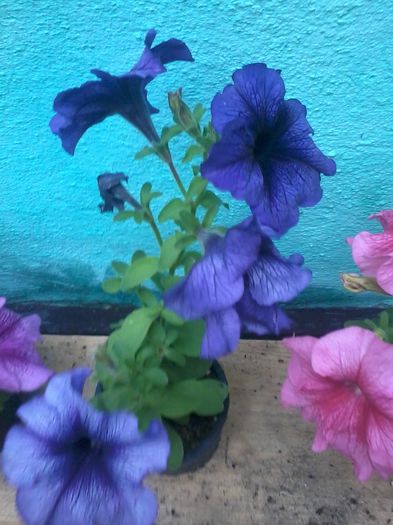 20140615_191631