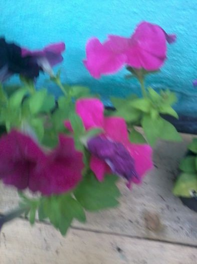20140615_191647