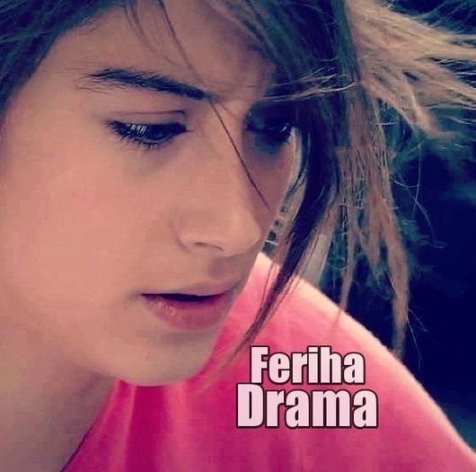 28. cand fuge dupa Emir