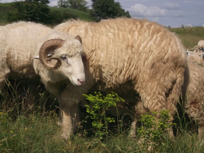 Picture 280 - MiORi 2014