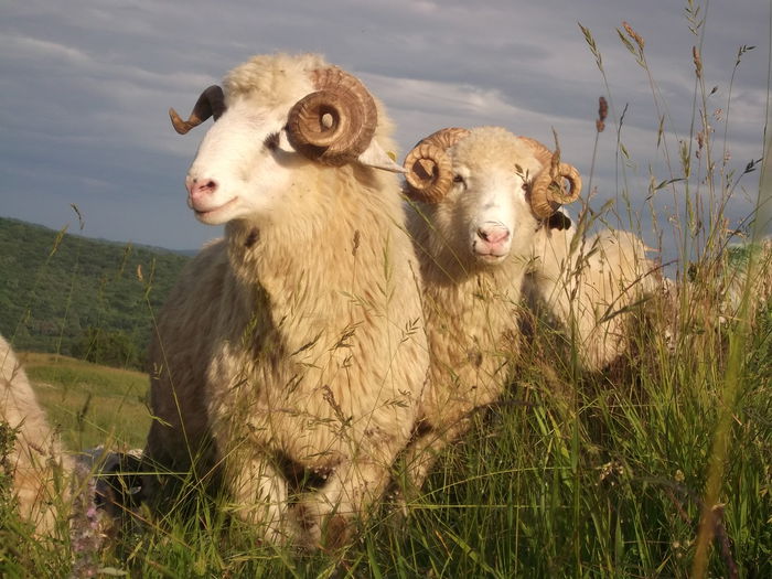 Picture 318 - MiORi 2014