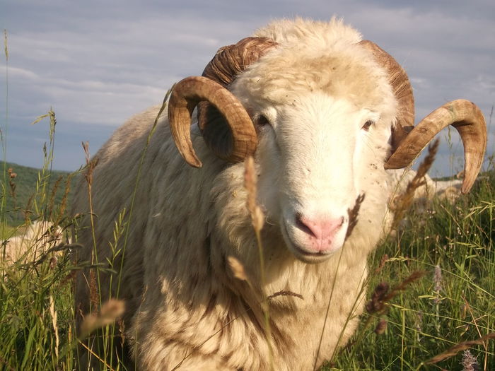 Picture 321 - MiORi 2014