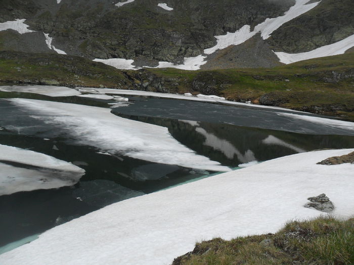 lacul capra - 6Flori de munte 2014