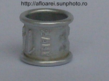 pl 91 zary - inele colectie-Pigeon Rings Collection