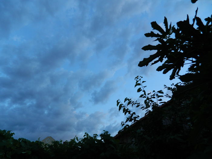 DSCN8539 - IUNIE_2_2014