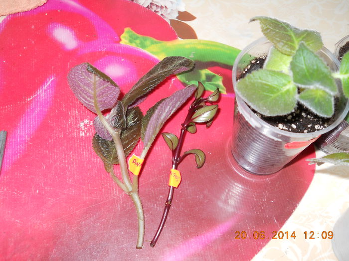 002 - ACHIZITII 2014