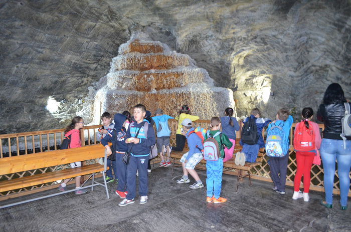 DSC_0238 - IN EXCURSIE