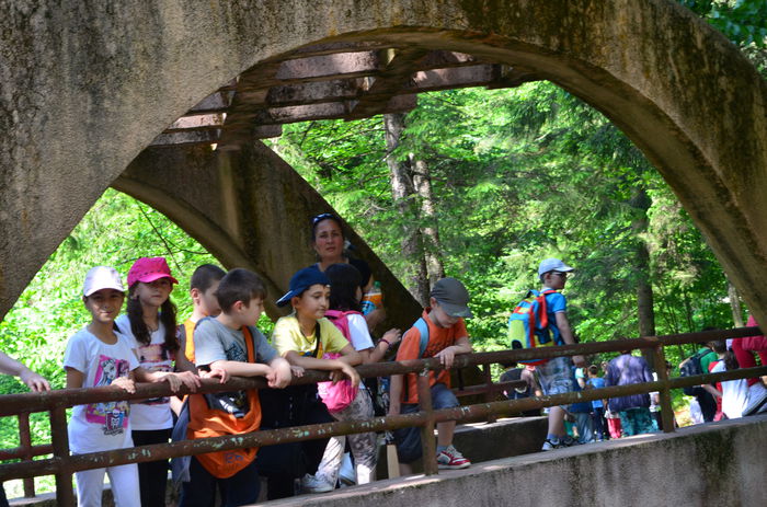 DSC_0268 - IN EXCURSIE