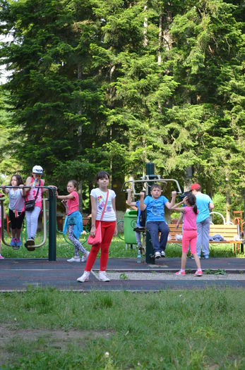 DSC_0282 - IN EXCURSIE