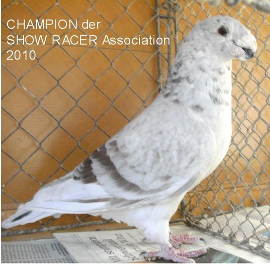 311136_4355626641764_1531350585_n