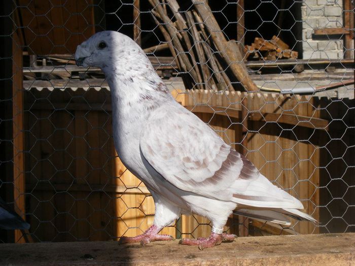 379759_4739013466195_1405073310_n