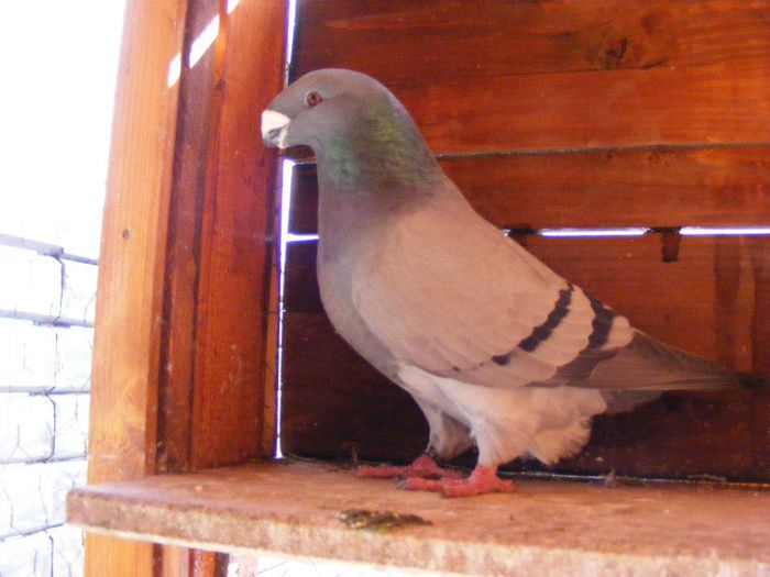 541371_10200335299918036_921764922_n