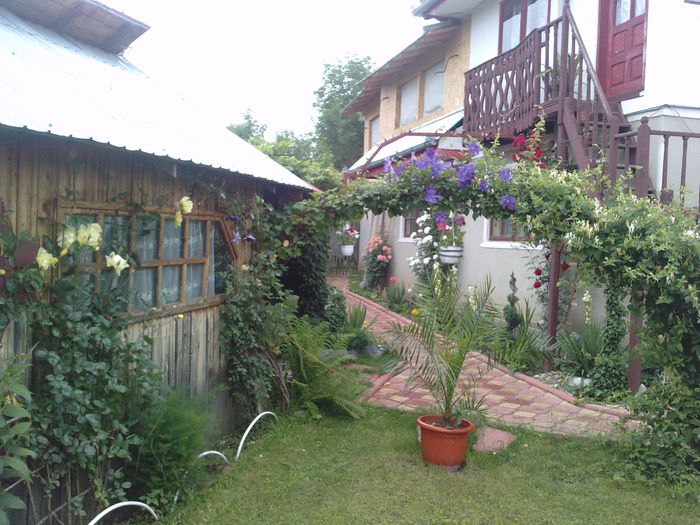 P230309_15.520002