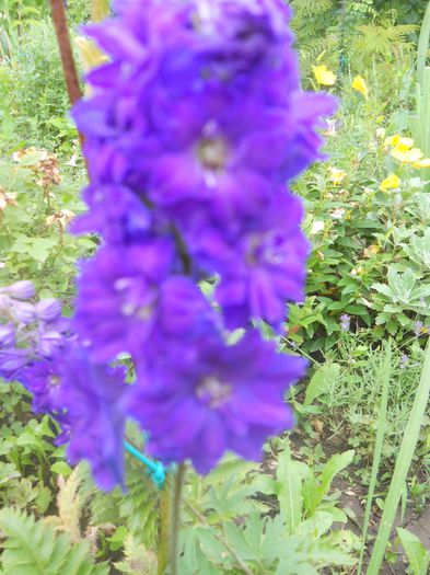 DSCN8177