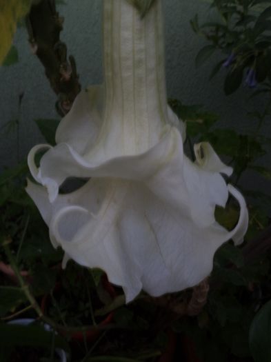 iunie la sfirsit 004