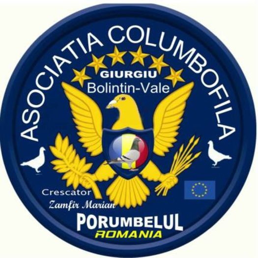 mario1 - 0 a ASOCIATIA COLUMBOFILA PORUMBELUL