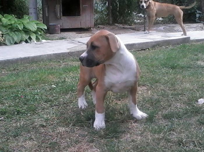 10299100_612876252152591_6451543898171639531_n