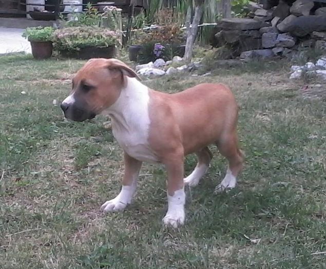 10389657_612875752152641_5003234781803191289_n