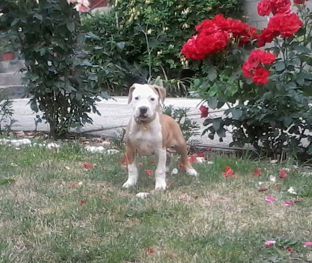 10429849_612874285486121_4587998474785533934_n