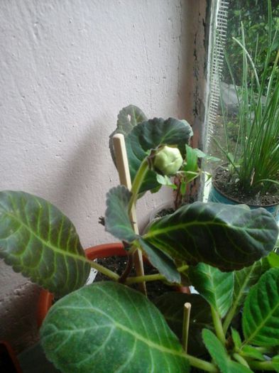 IMG-20140619-WA0020