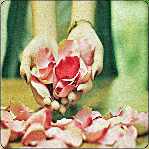 Ｗｉｔｈ ｐｅｔａｌｓ - description - lll a life is like a rose lll