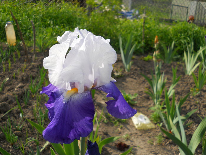 DSCN0206