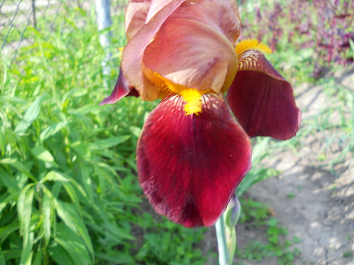 DSCN0208