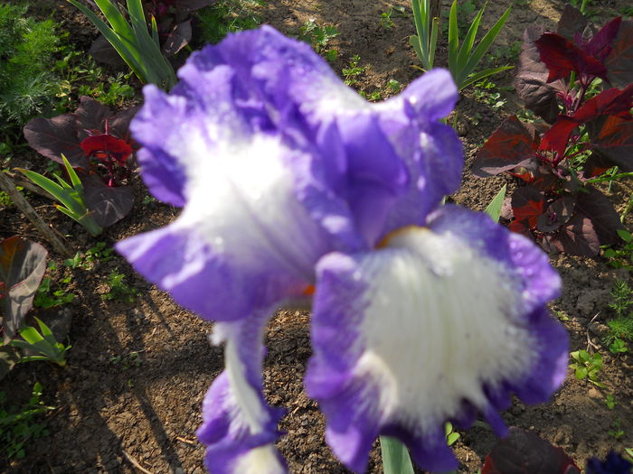 DSCN0210