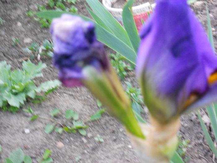 DSCN0221