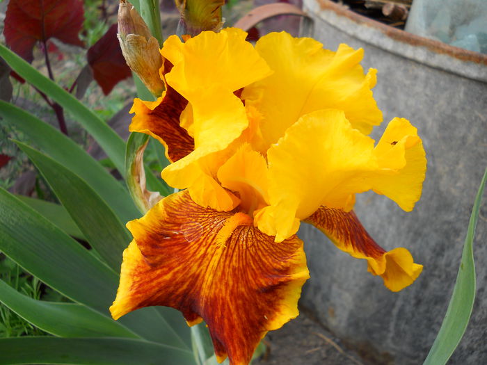 DSCN0235
