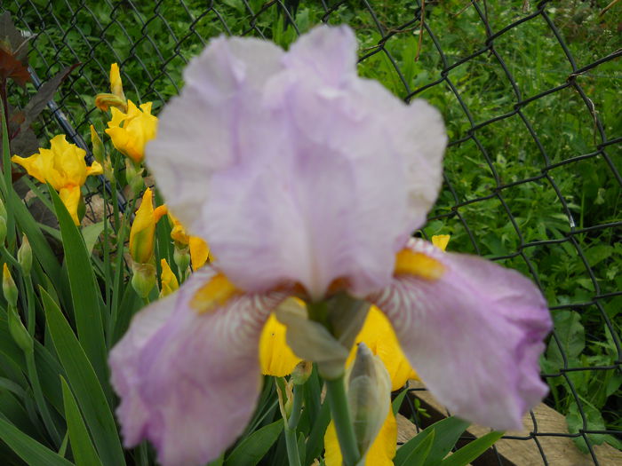 DSCN0260