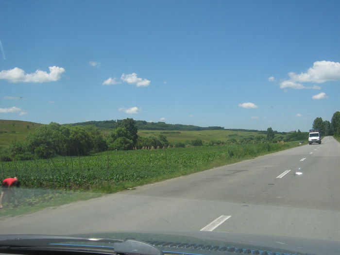 in natura 004
