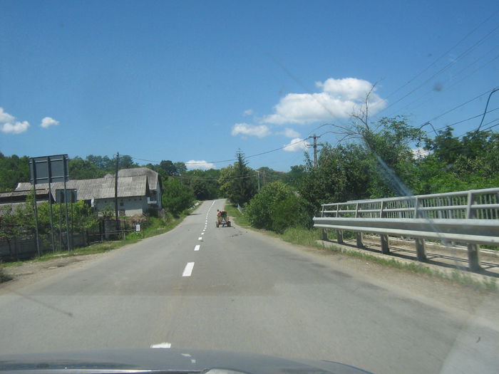in natura 005