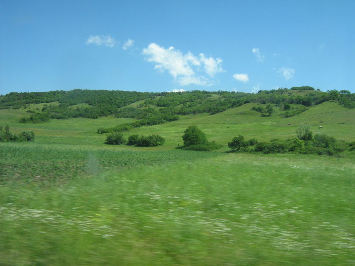 in natura 010