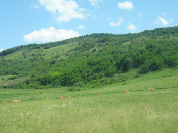 in natura 011