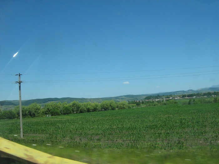 in natura 013